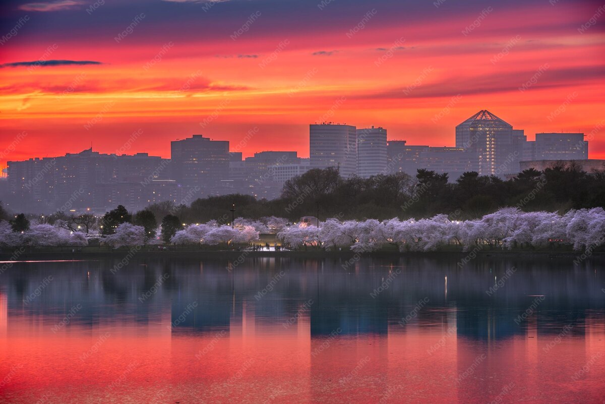 Arlington skyline seen across the Tidal Basin in Washington, DC